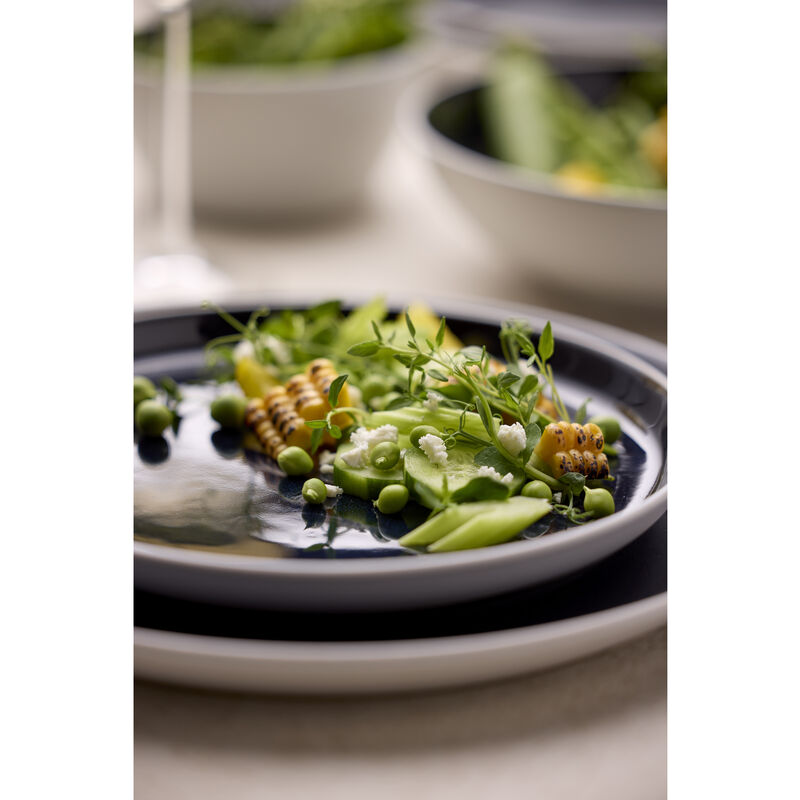 Gastro Plate Gastro Plate