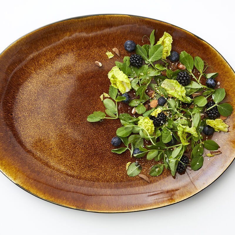 Gastro Dish