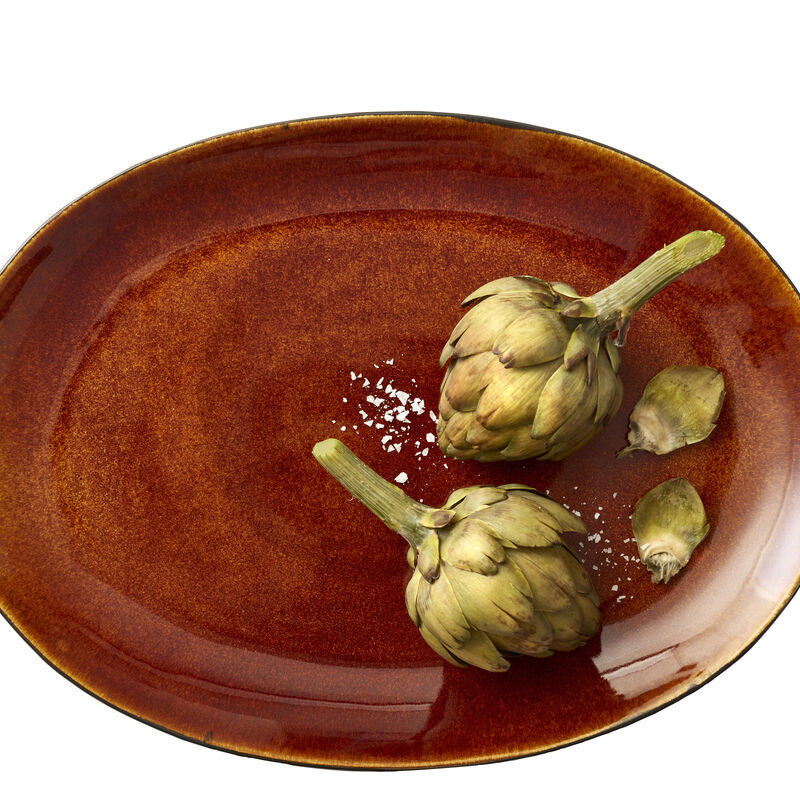 Gastro Dish