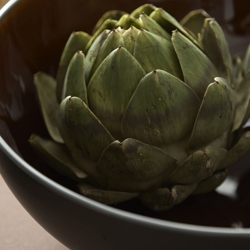 Gastro Salad bowl