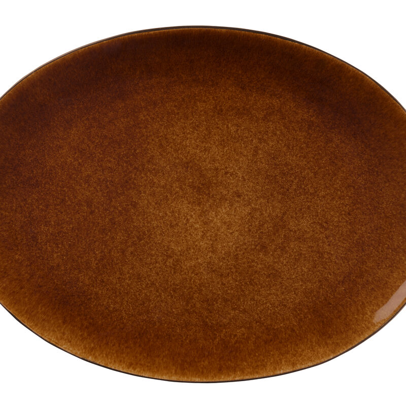 Gastro Dish