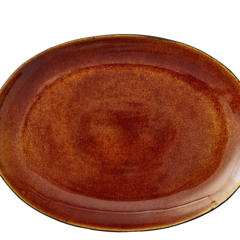 Gastro Dish