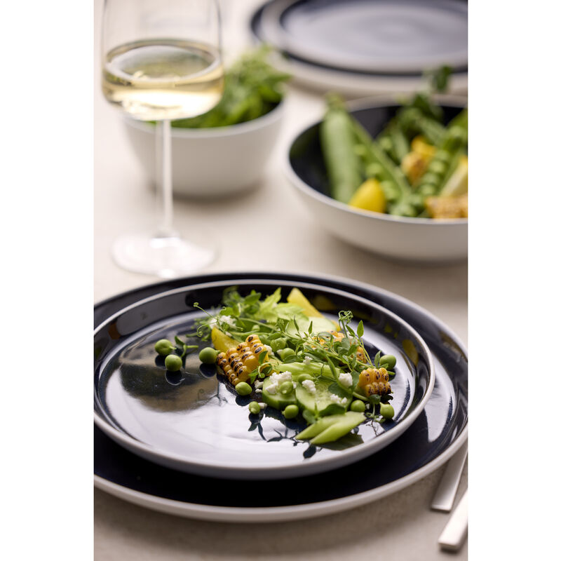 Gastro Plate Gastro Plate