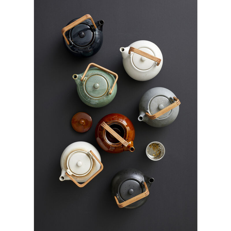 Gastro Tekande m. tesi