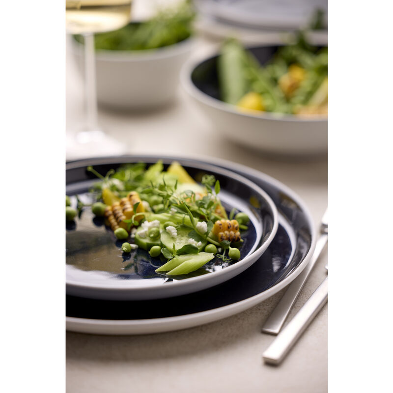 Gastro Plate Gastro Plate