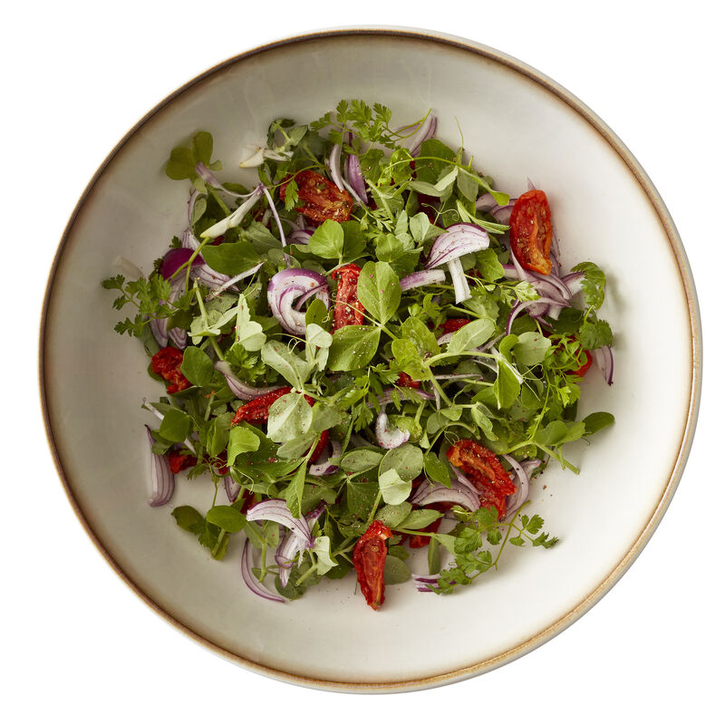 Gastro Salatsk&aring;l