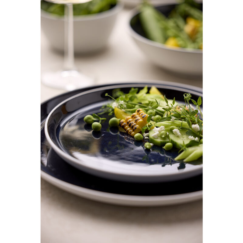 Gastro Plate Gastro Plate