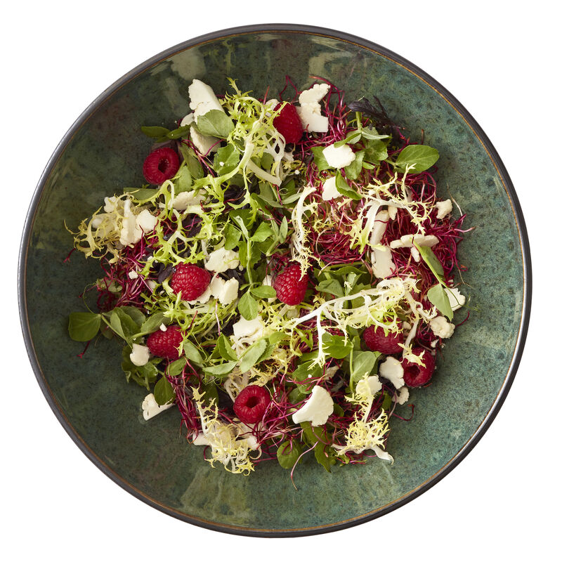 Gastro Salatsk&aring;l