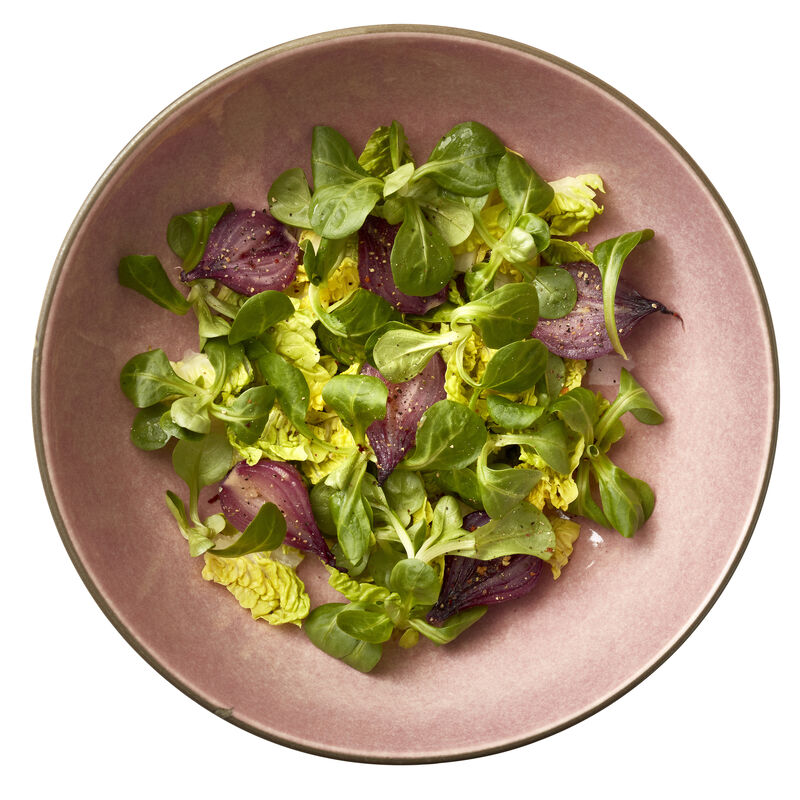 Gastro Salad bowl